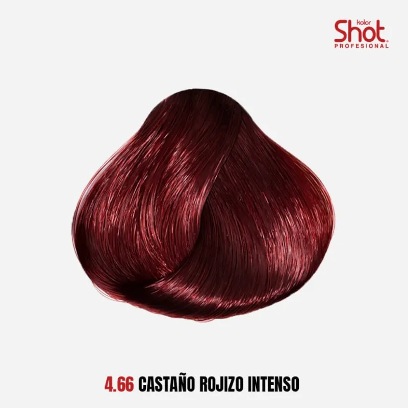 4.66 Castaño Rojizo Intenso 