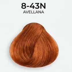 8.43 - Avellana