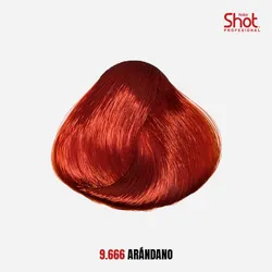 9.666 Rojo Arándano 
