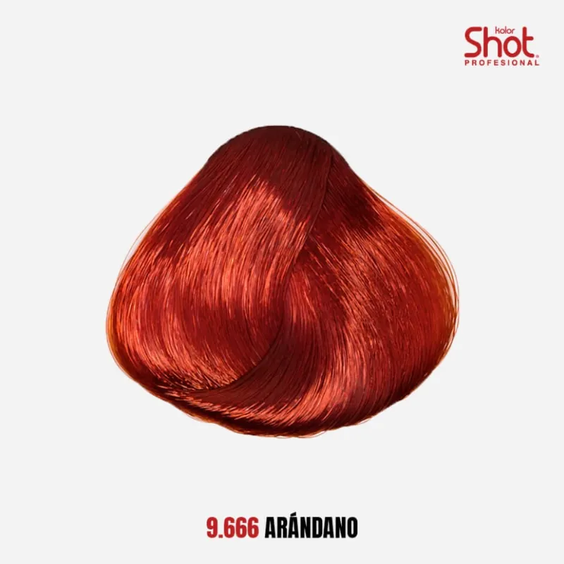 9.666 Rojo Arándano 