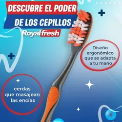 Cepillo Dental