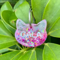 Identificador de mascota 