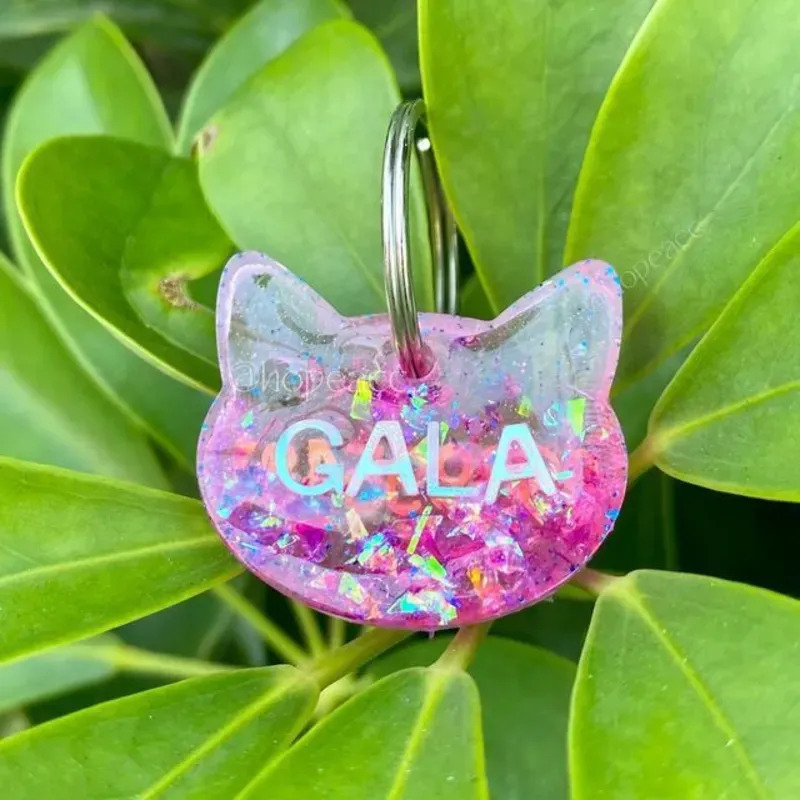 Identificador de mascota 