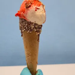 CONO CUSPIDE DE MANI