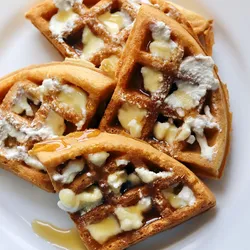 Waffle Panal