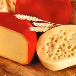 Queso 