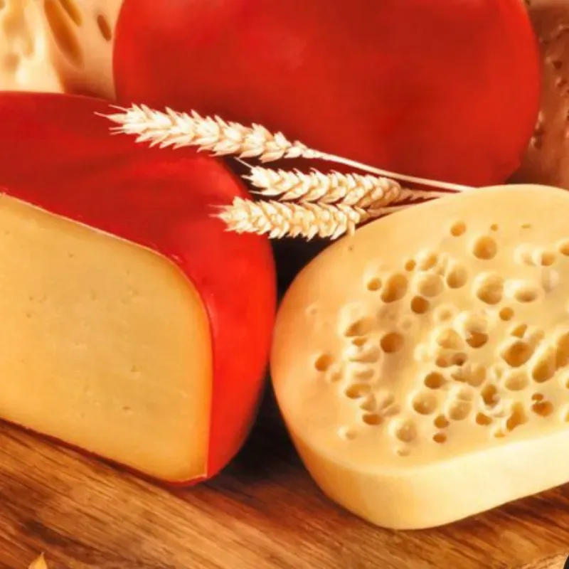 Queso 