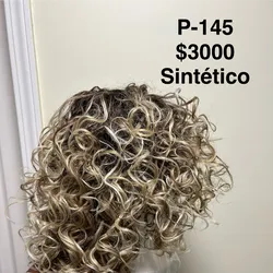 Modelo 145