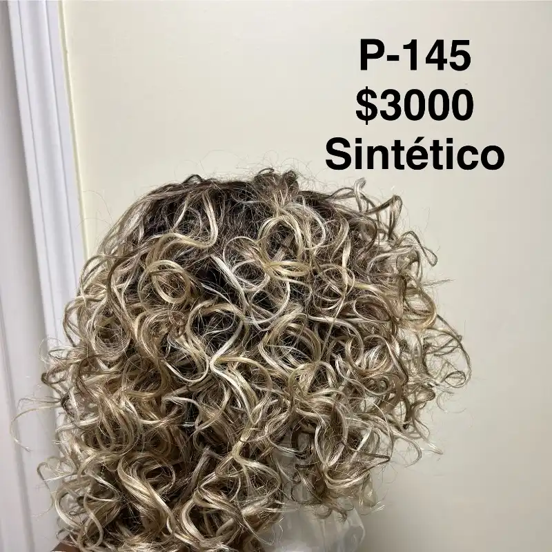 Modelo 145