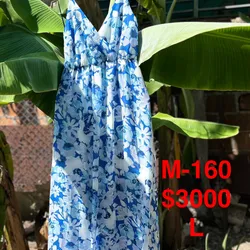 Modelo 160