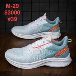 Modelo 29