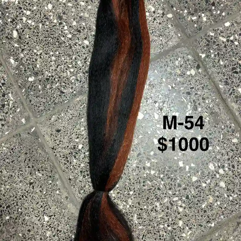 Modelo 54