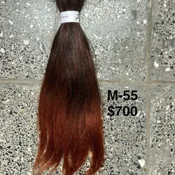 Modelo 55