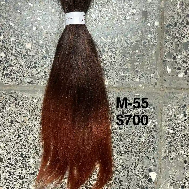 Modelo 55