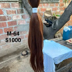 Modelo 64