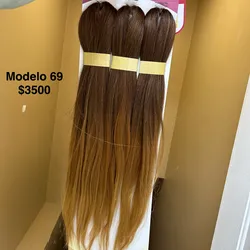 Modelo 69