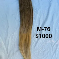 Modelo 76