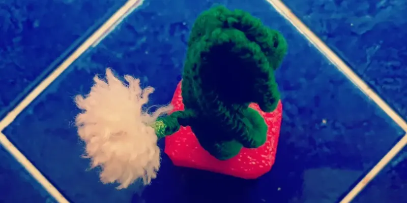 Cactus 