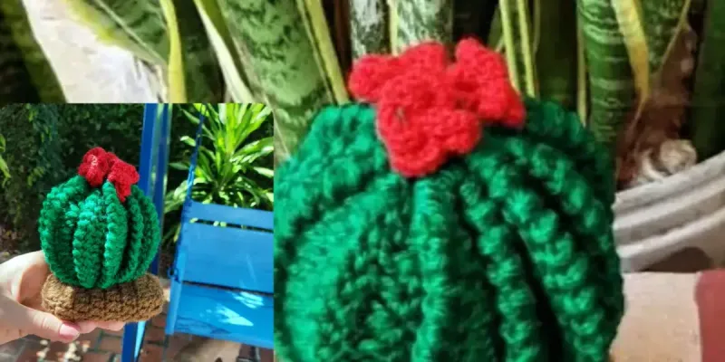 Cactus 