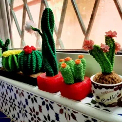 Cactus 