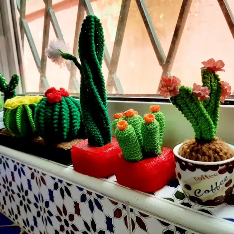 Cactus 