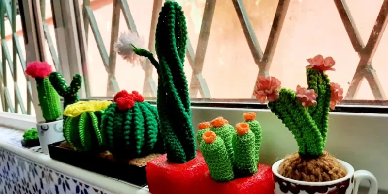Cactus 