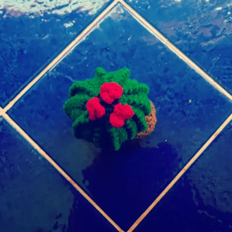 Cactus 
