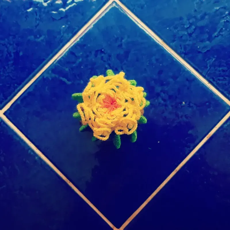 Cactus 