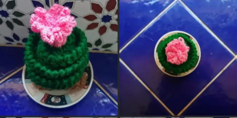 Cactus 
