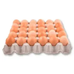 Cartón de huevos 