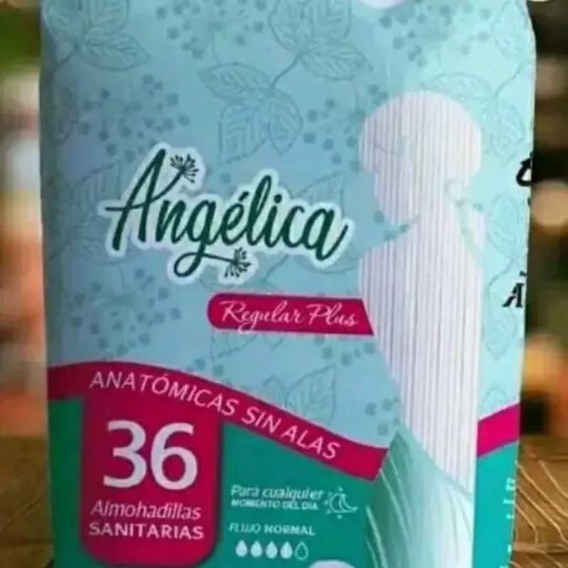 Paquete de íntima Angélica 