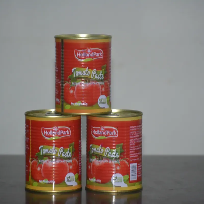 Pasta de Tomate 