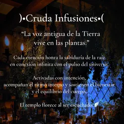 Infusiones🌿