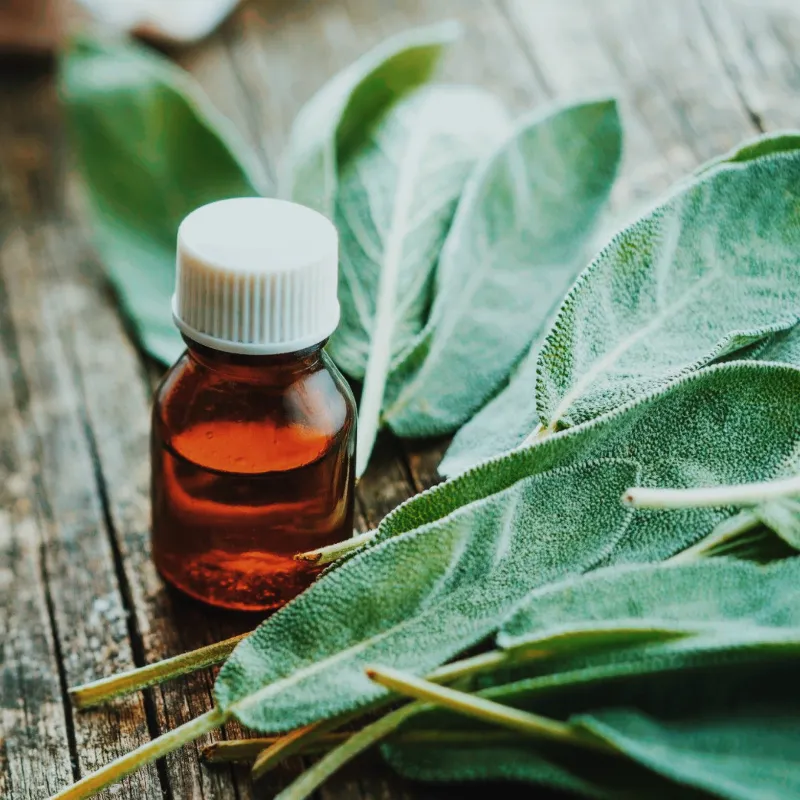 Oleato de Salvia🪻