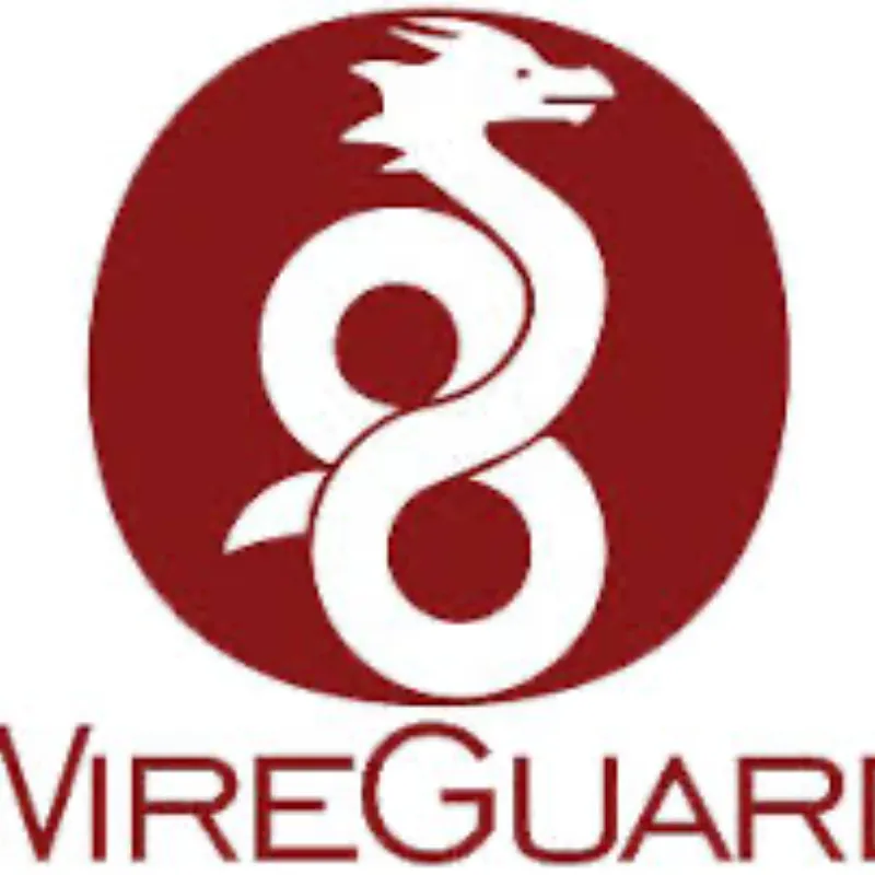 Wireguard (100 GB mes)
