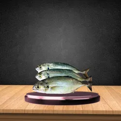 Pescado De Mar cojinua(5LB)