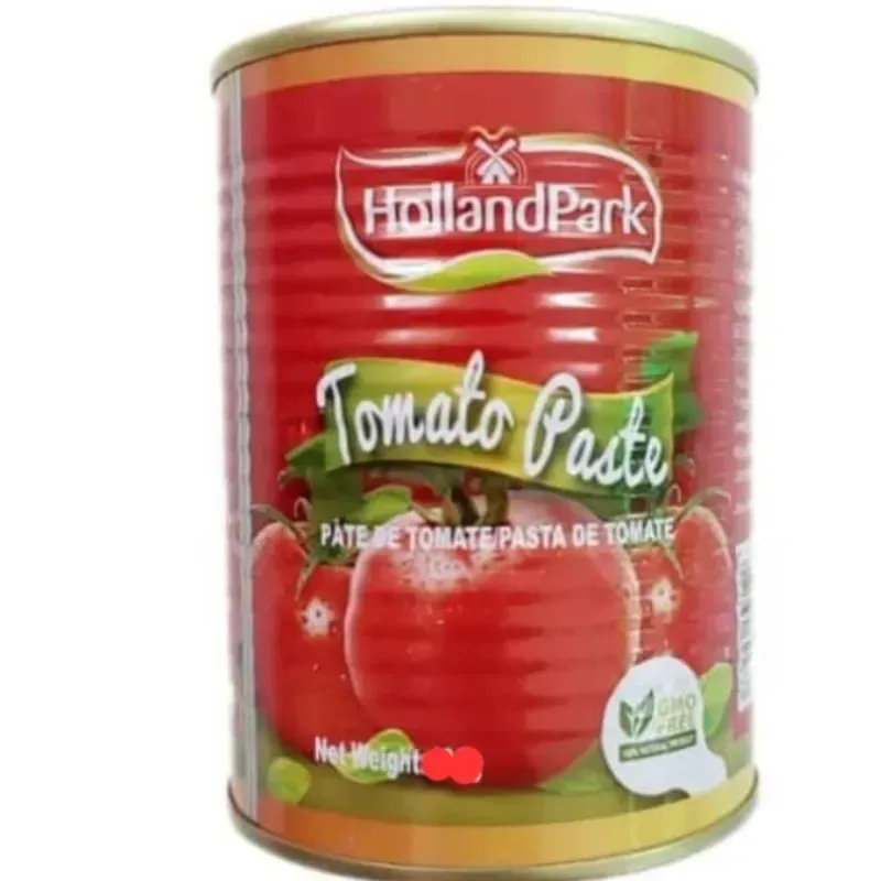 PASTA DE TOMATE HOLLANDPARK 400G.