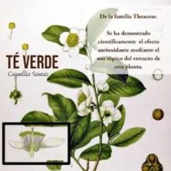 Te Verde