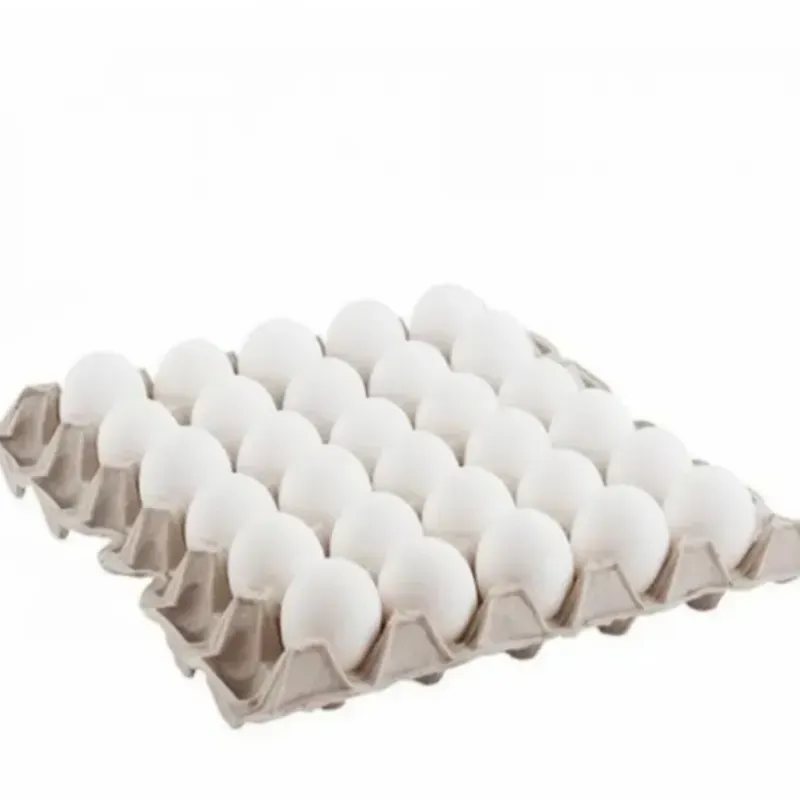 Cartón de huevo 30und