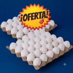 Huevos (2 cartones de huevos)