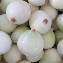 Cebolla Blanca