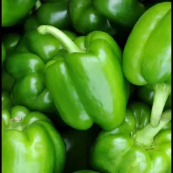 Pimiento - Verde