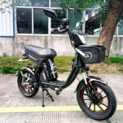 Bicimoto Grillo 13 Generación 