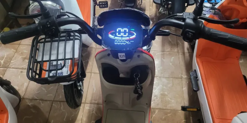 Bicimotos Vedca última edición 