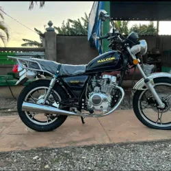 Motos Gn 125cc Halcón 2026
