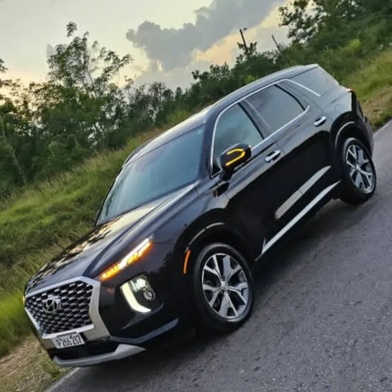 Palisade nuevo sin detalles