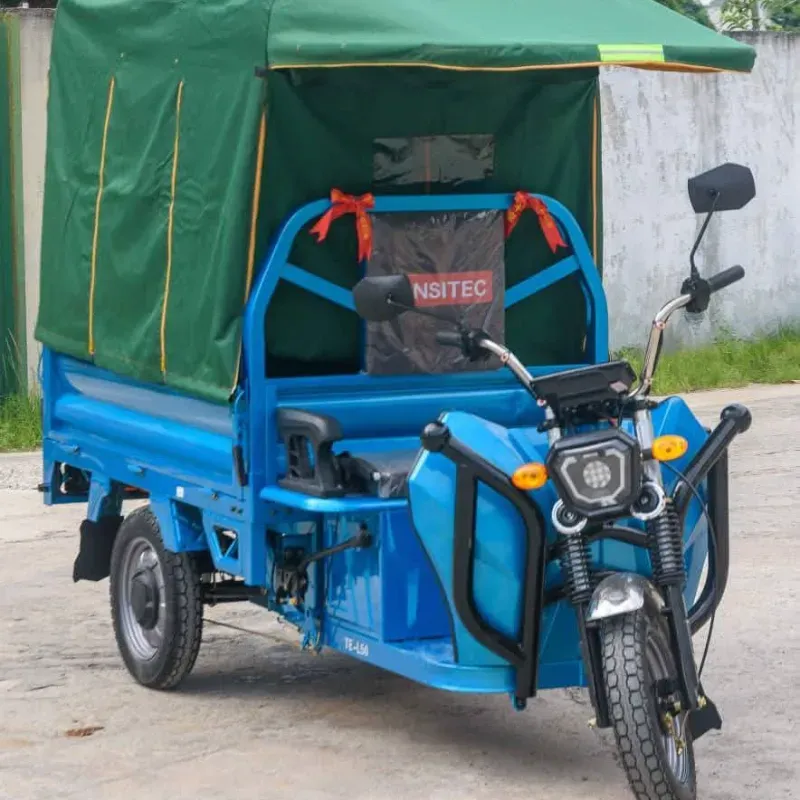 🛺TRICICLO HÍBRIDO AINSITEC