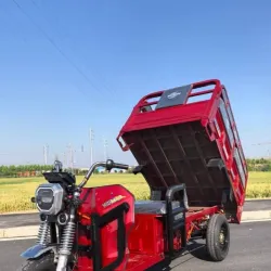 Triciclos Bridek Topmaq 