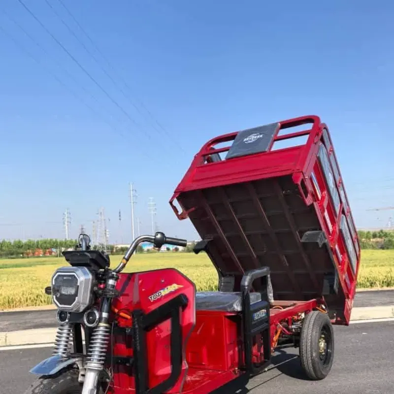 Triciclos Bridek Topmaq 