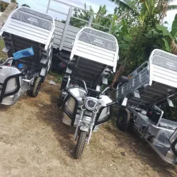 Triciclos Híbridos Viento Rápido 💪🤝